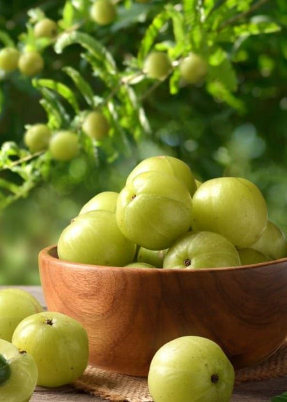 AMLA